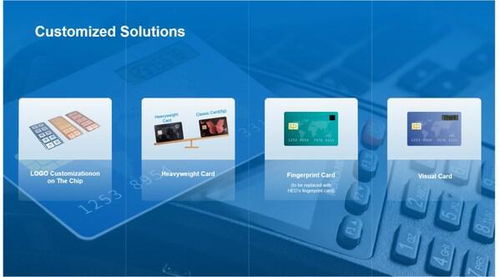 華大電子重磅亮相Seamless 2025，用芯助力數(shù)字安全新時(shí)代技術(shù)服務(wù)